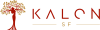 Kalon SF logo