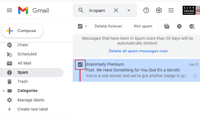 Gmail Spam folder checkbox
