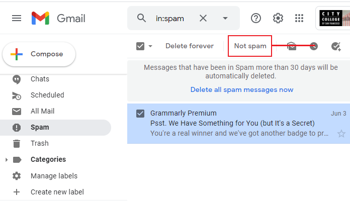 Gmail Spam folder not spam button