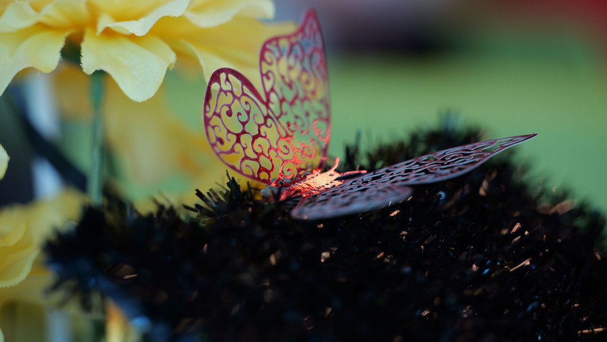 Butterfly and flowers