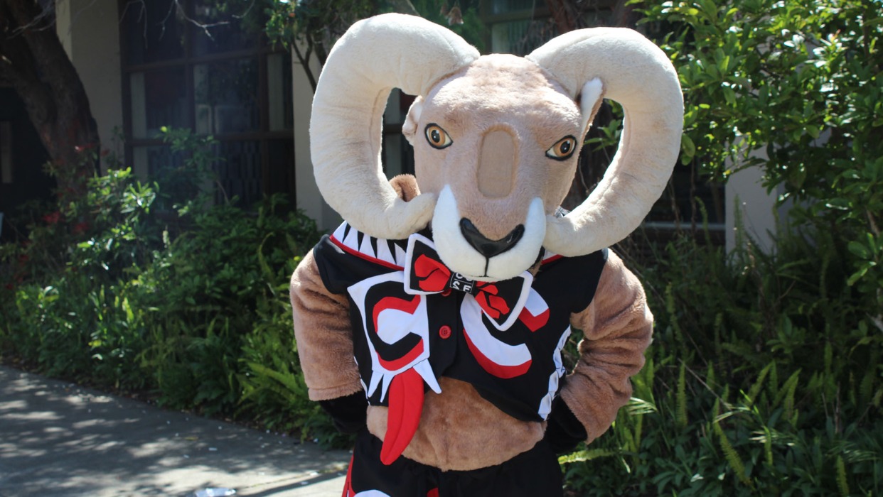 Rocky the Ram