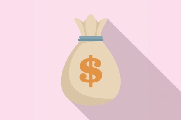 Bag with $