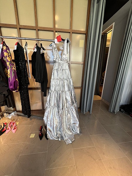 Silver dress on clothing rack